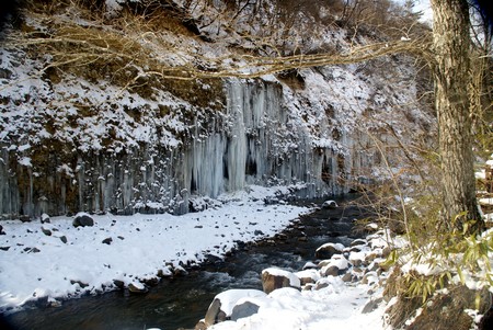 f:id:hashiba511:20080127054730j:image