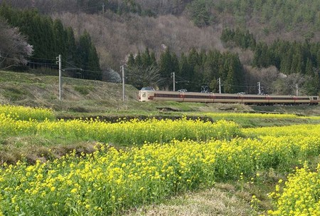 f:id:hashiba511:20080510044452j:image