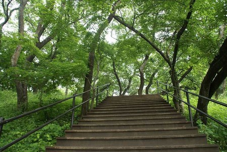 f:id:hashiba511:20080611210147j:image