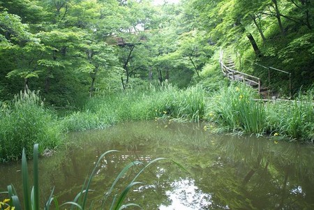 f:id:hashiba511:20080611210150j:image
