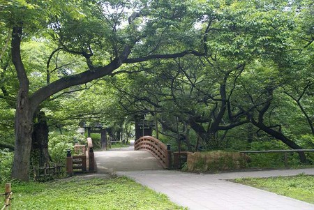 f:id:hashiba511:20080611210151j:image