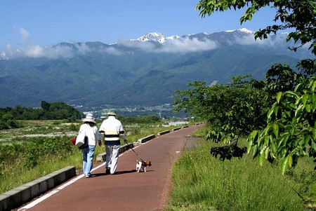 f:id:hashiba511:20080613130445j:image
