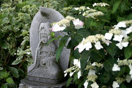 f:id:hashiba511:20080630074820j:image