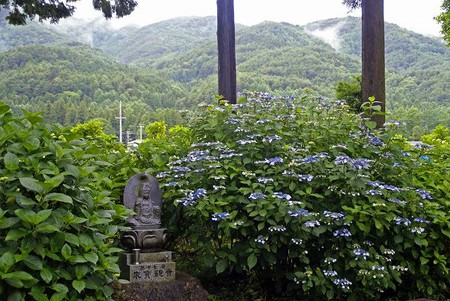 f:id:hashiba511:20080630074822j:image