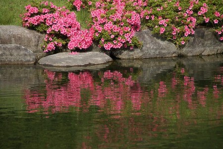 f:id:hashiba511:20080705081855j:image