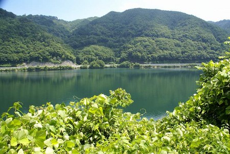 f:id:hashiba511:20080718050428j:image