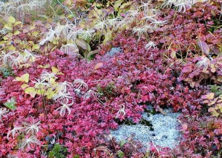 f:id:hashiba511:20081005081904j:image