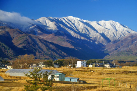 f:id:hashiba511:20090201092635j:image