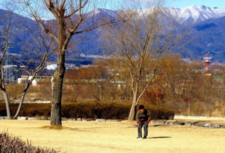 f:id:hashiba511:20090202062717j:image