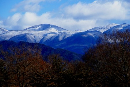 f:id:hashiba511:20090203074701j:image