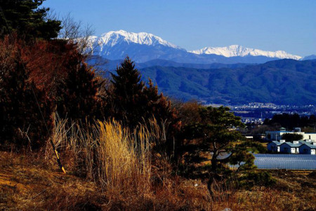 f:id:hashiba511:20090302175030j:image
