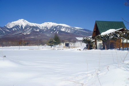 f:id:hashiba511:20090305174223j:image