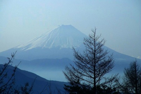 f:id:hashiba511:20090305174640j:image