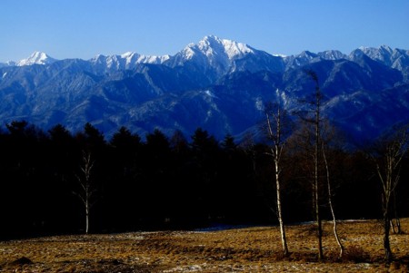 f:id:hashiba511:20090306080727j:image