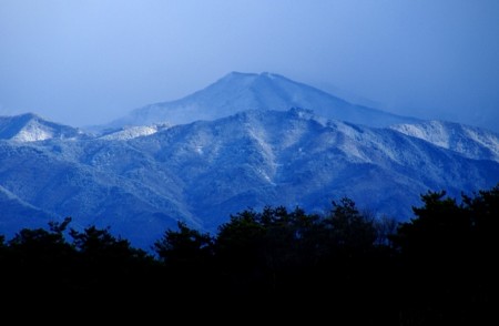 f:id:hashiba511:20090316171222j:image