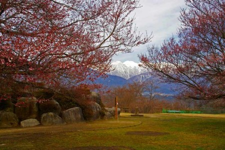 f:id:hashiba511:20090329141624j:image