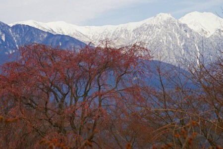 f:id:hashiba511:20090329142255j:image