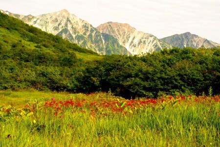 f:id:hashiba511:20090820045643j:image