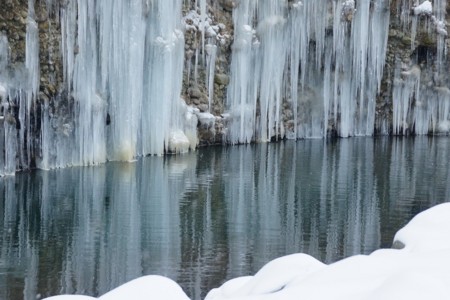 f:id:hashiba511:20100116053127j:image