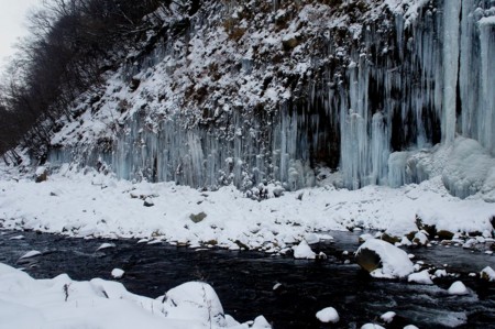 f:id:hashiba511:20100116053130j:image