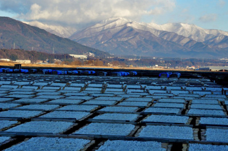 f:id:hashiba511:20100116200626j:image