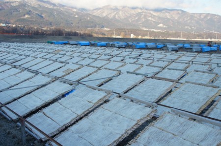 f:id:hashiba511:20100117184852j:image