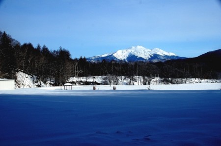 f:id:hashiba511:20100216195738j:image