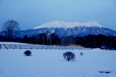 f:id:hashiba511:20100217193451j:image