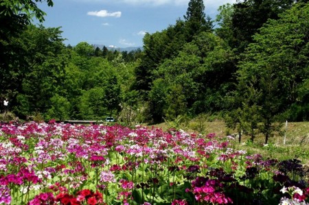 f:id:hashiba511:20100518072843j:image