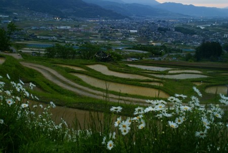 f:id:hashiba511:20100601170740j:image