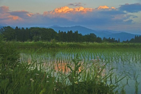 f:id:hashiba511:20100609073615j:image