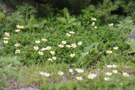 f:id:hashiba511:20100708205346j:image f:id:hashiba511:20100708205346j:image