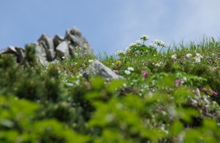 f:id:hashiba511:20100708205347j:image f:id:hashiba511:20100708205347j:image