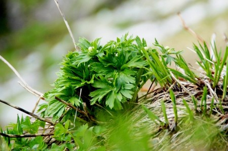 f:id:hashiba511:20100708205349j:image f:id:hashiba511:20100708205349j:image