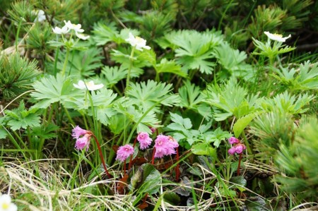 f:id:hashiba511:20100708205350j:image f:id:hashiba511:20100708205350j:image