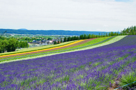 f:id:hashiba511:20100717113725j:image