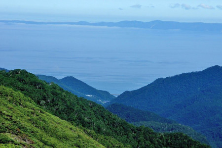 f:id:hashiba511:20100719110609j:image