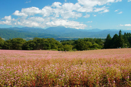 f:id:hashiba511:20100925184741j:image
