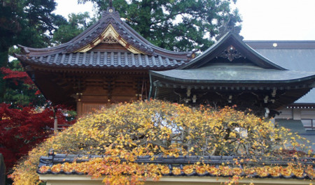 f:id:hashiba511:20101117110806j:image