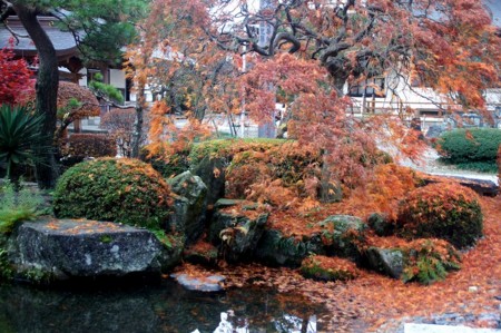 f:id:hashiba511:20101117180752j:image