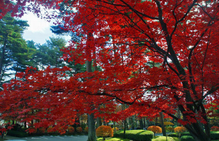 f:id:hashiba511:20101118164212j:image