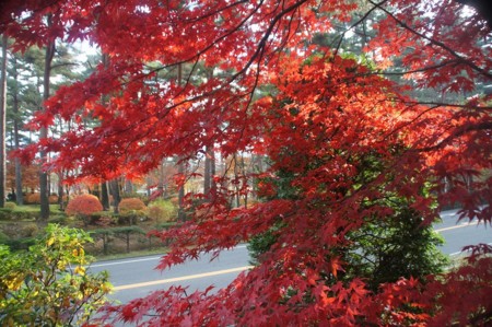 f:id:hashiba511:20101119145423j:image