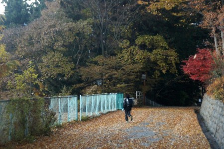 f:id:hashiba511:20101201082647j:image
