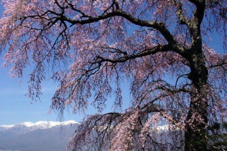f:id:hashiba511:20110417123819j:image