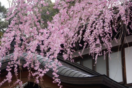 f:id:hashiba511:20110417124050j:image