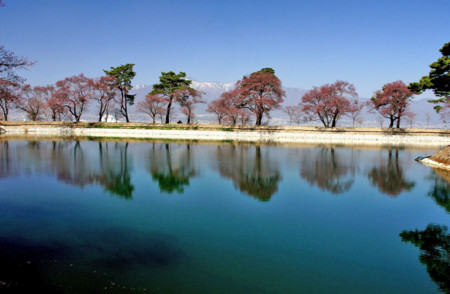 f:id:hashiba511:20110417204802j:image