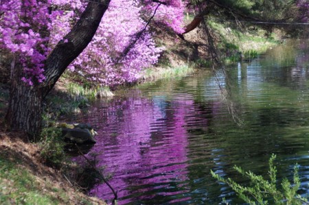 f:id:hashiba511:20110421194314j:image