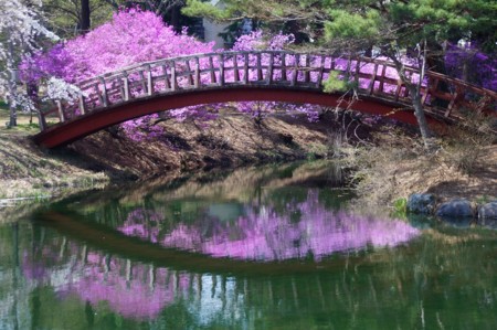 f:id:hashiba511:20110421194317j:image