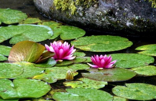 f:id:hashiba511:20110706074402j:image:w500