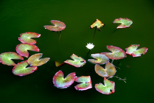 f:id:hashiba511:20110709204514j:image